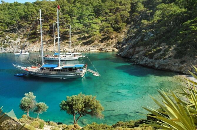 Denizle Buluş: Mavi Yolculuk